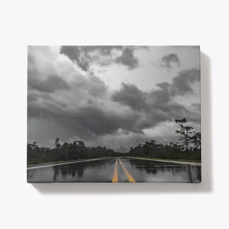 Rainy Road in Florida